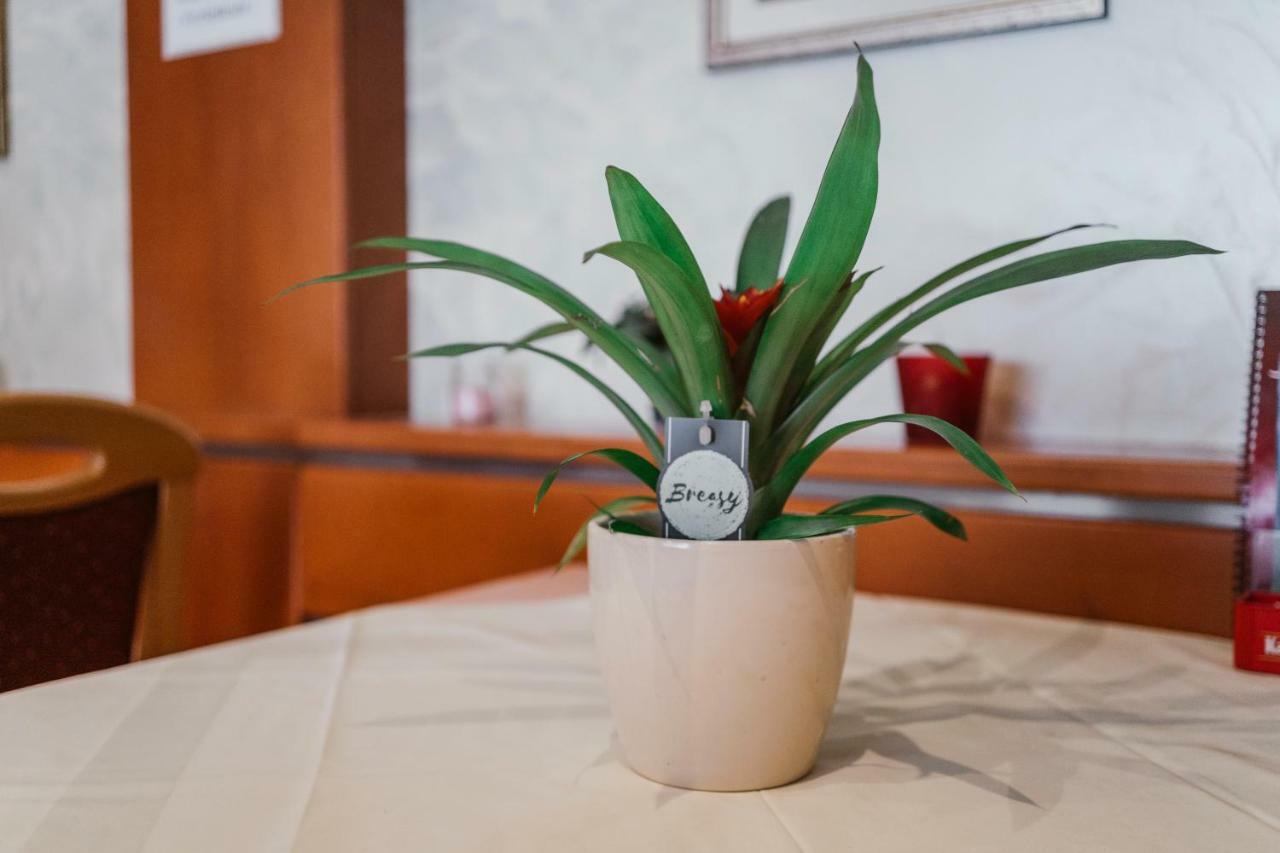 Guest House Sv. Nikola Dugo Selo 외부 사진